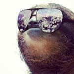 Slothy